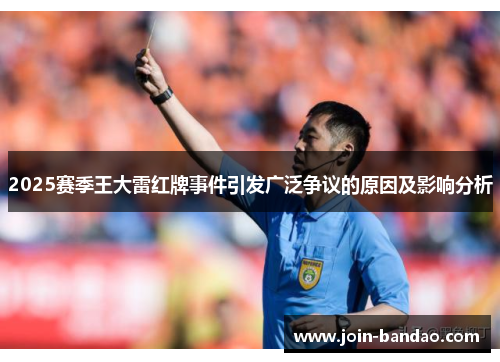 2025赛季王大雷红牌事件引发广泛争议的原因及影响分析